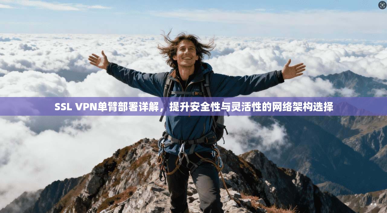 SSL VPN单臂部署详解，提升安全性与灵活性的网络架构选择