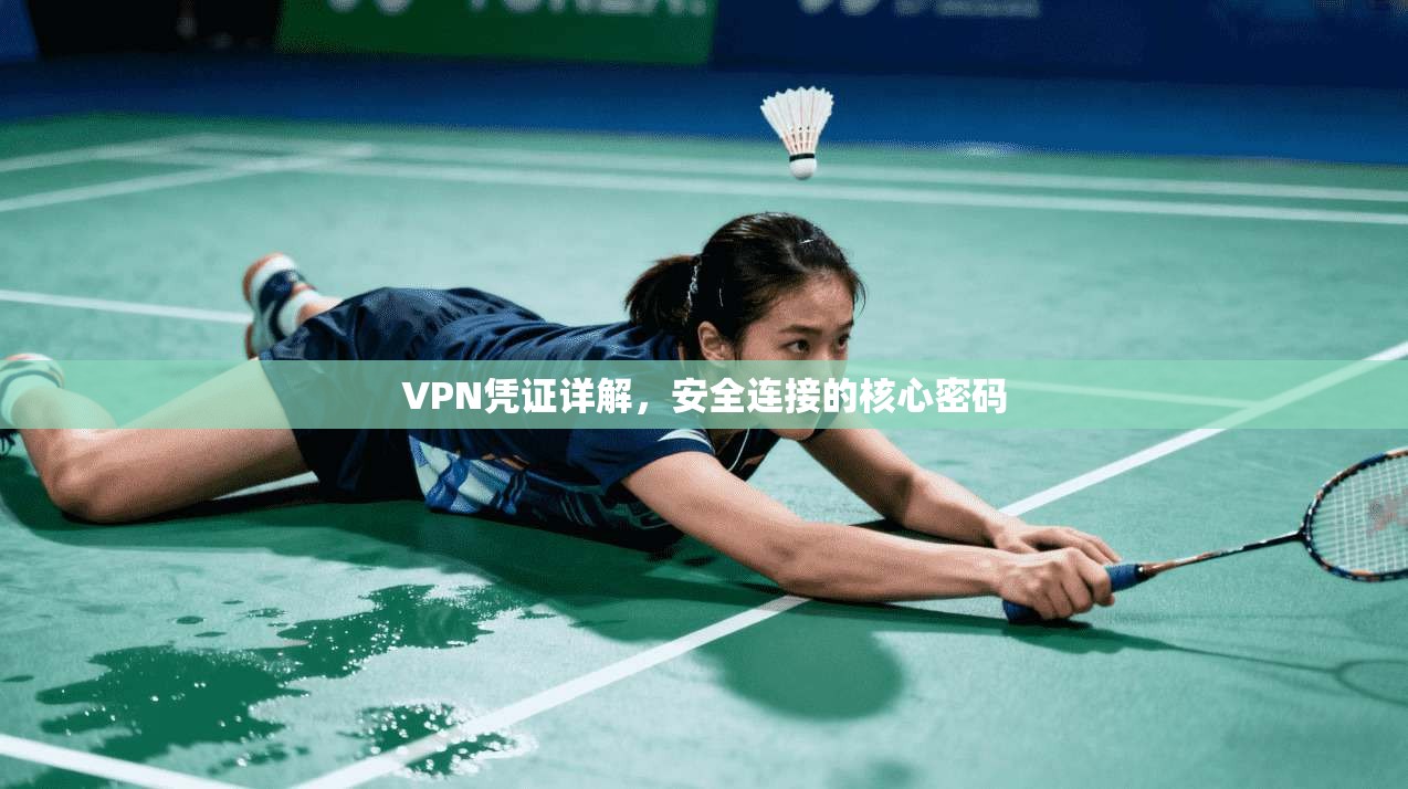 VPN凭证详解,安全连接的核心密码 VPN凭证详解,安全连接的核心密码