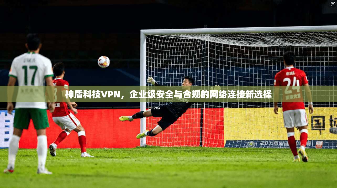 神盾科技VPN,企业级安全与合规的网络连接新选择 神盾科技VPN,企业级安全与合规的网络连接新选择