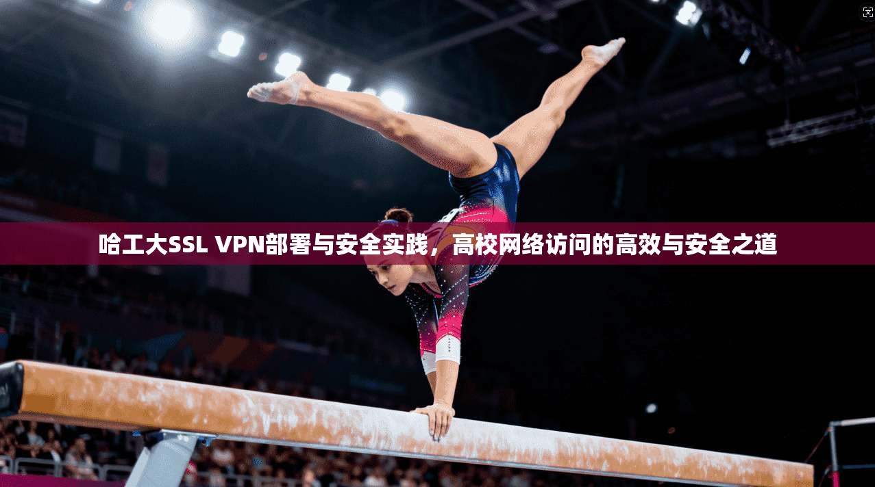 哈工大SSL VPN部署与安全实践,高校网络访问的高效与安全之道 哈工大SSL VPN部署与安全实践,高校网络访问的高效与安全之道