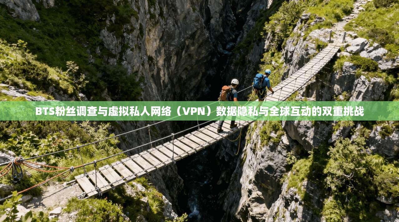BTS粉丝调查与虚拟私人网络（VPN）数据隐私与全球互动的双重挑战