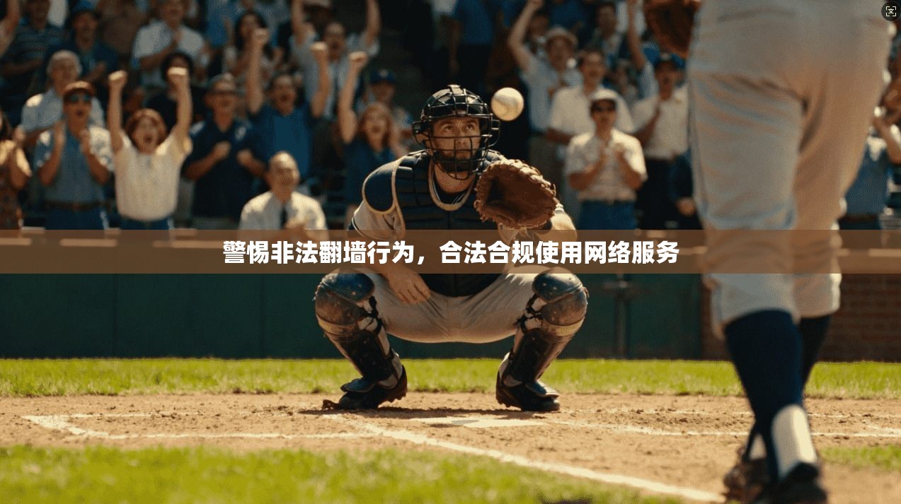 警惕非法翻墙行为,合法合规使用网络服务 警惕非法翻墙行为,合法合规使用网络服务