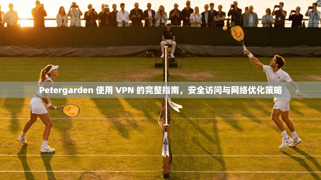 Petergarden 使用 VPN 的完整指南，安全访问与网络优化策略