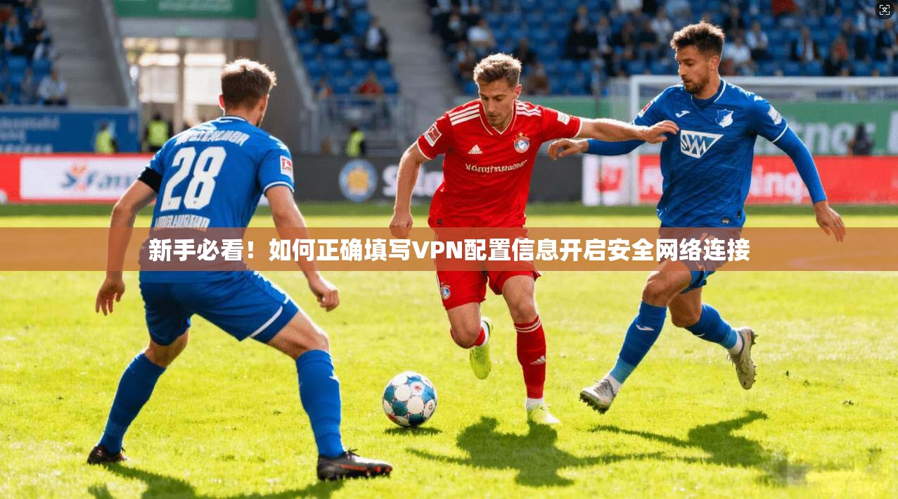 新手必看!如何正确填写VPN配置信息开启安全网络连接 新手必看!如何正确填写VPN配置信息开启安全网络连接