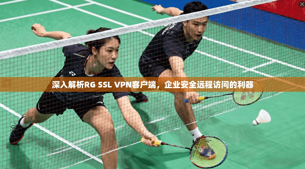深入解析RG SSL VPN客户端,企业安全远程访问的利器 深入解析RG SSL VPN客户端,企业安全远程访问的利器
