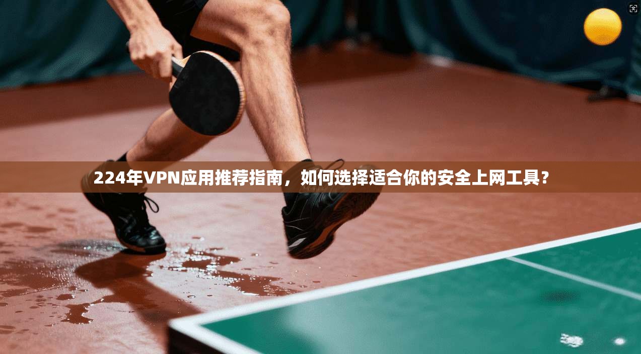 224年VPN应用推荐指南，如何选择适合你的安全上网工具？