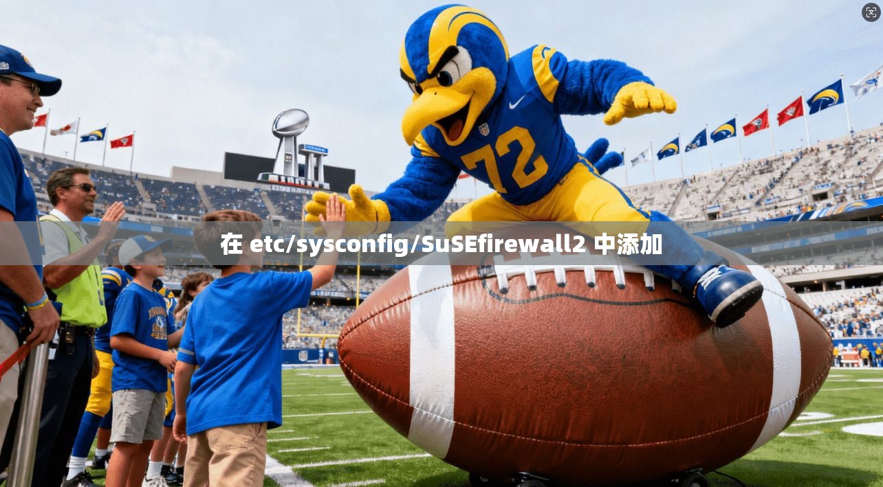 在 etc/sysconfig/SuSEfirewall2 中添加 在 etc/sysconfig/SuSEfirewall2 中添加