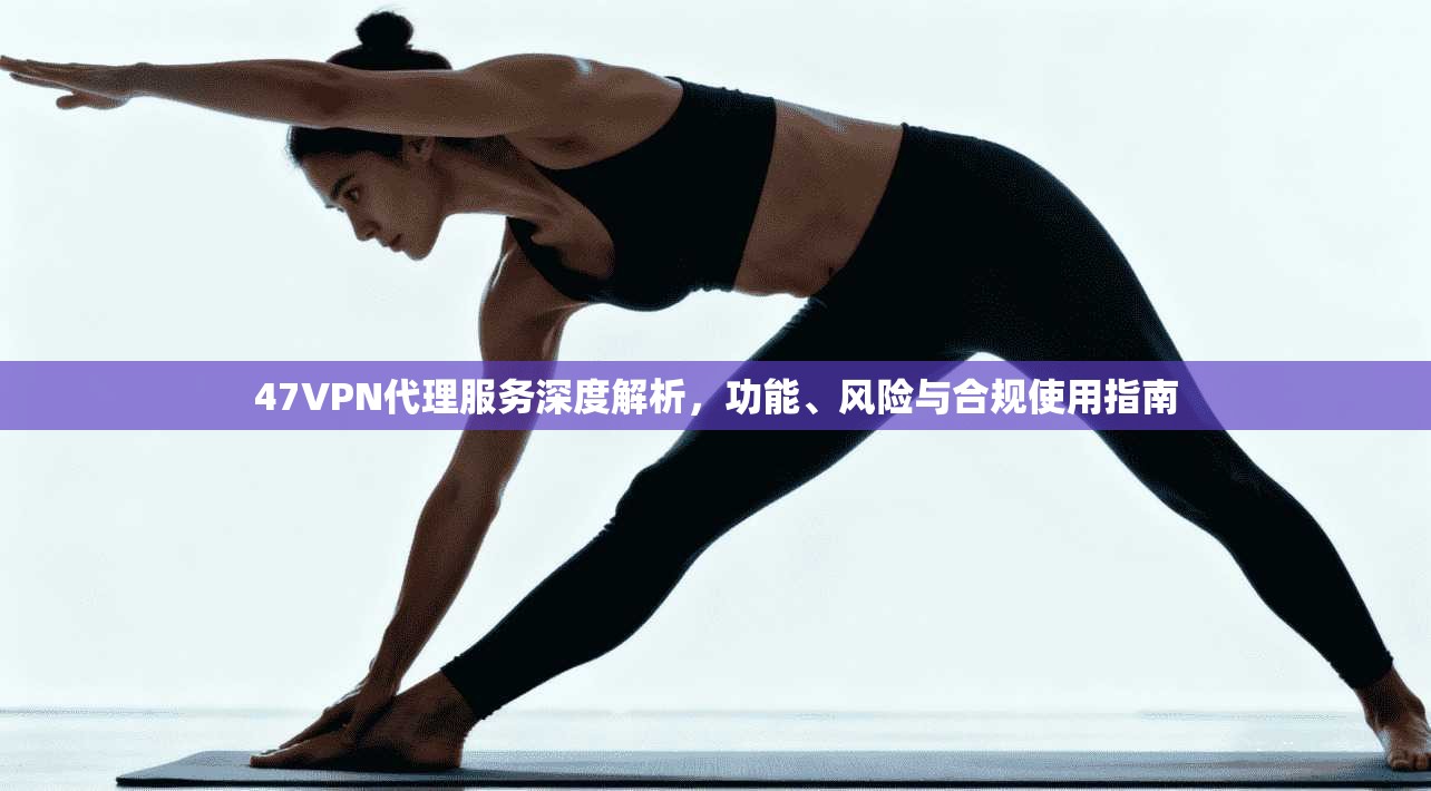 47VPN代理服务深度解析，功能、风险与合规使用指南