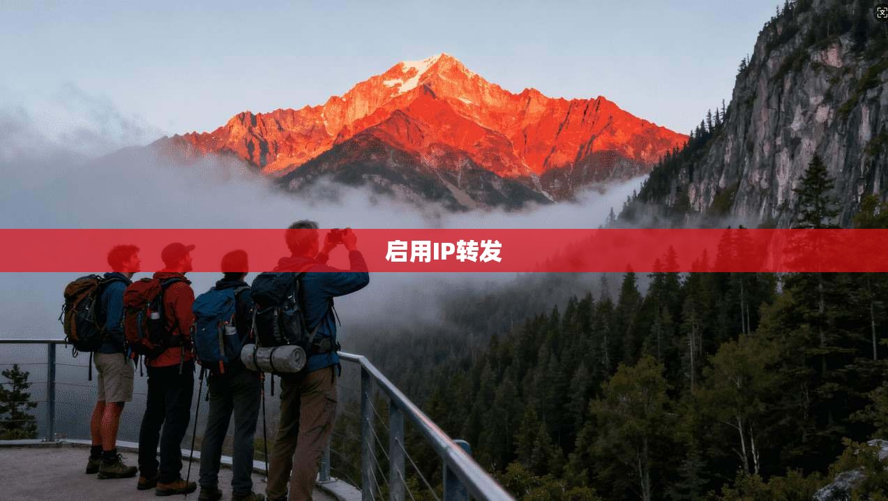 启用IP转发 启用IP转发