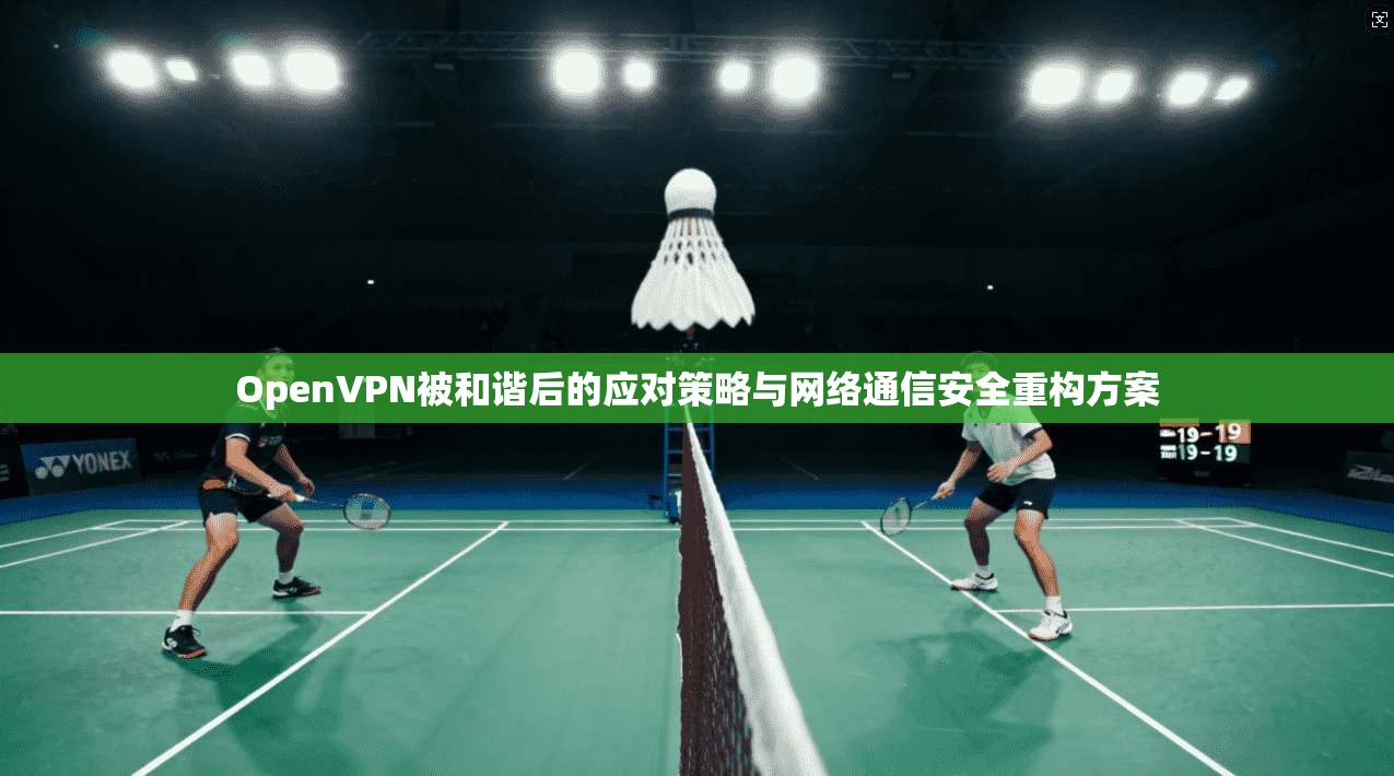 OpenVPN被和谐后的应对策略与网络通信安全重构方案 OpenVPN被和谐后的应对策略与网络通信安全重构方案