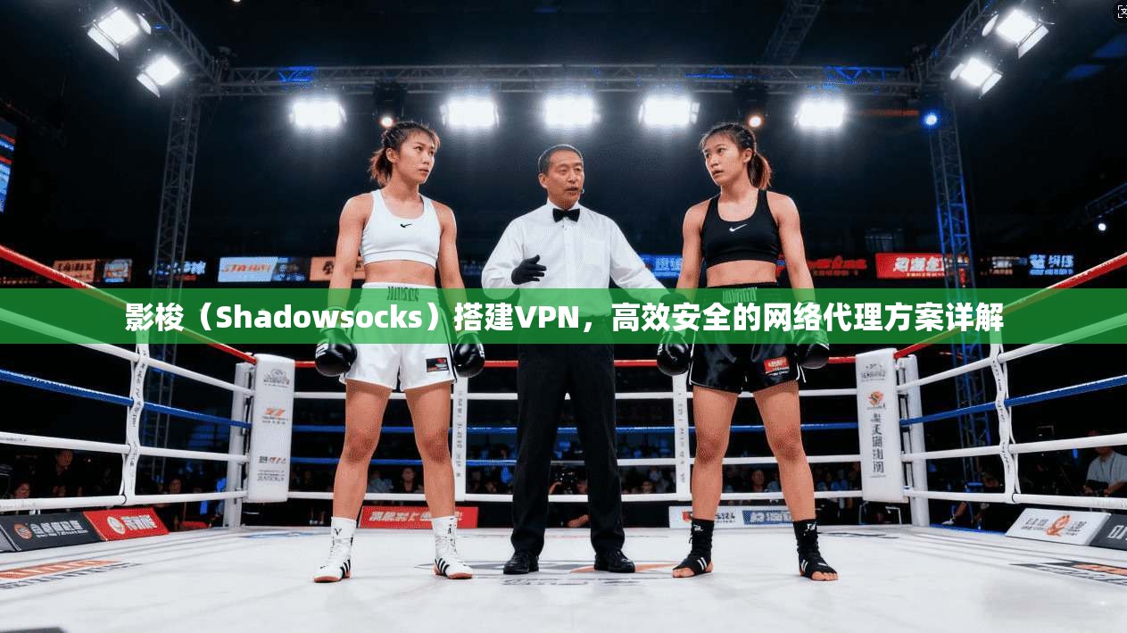 影梭(Shadowsocks)搭建VPN,高效安全的网络代理方案详解 影梭(Shadowsocks)搭建VPN,高效安全的网络代理方案详解