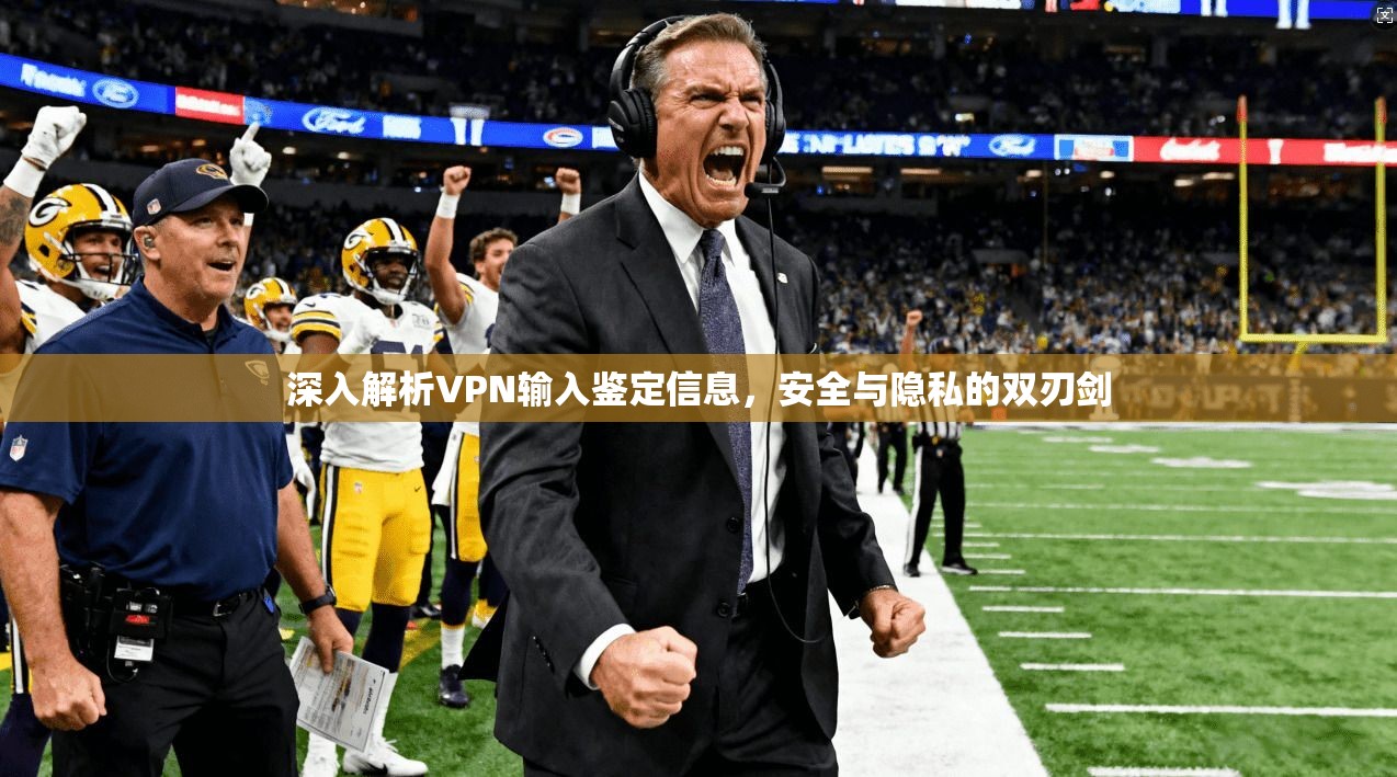 深入解析VPN输入鉴定信息，安全与隐私的双刃剑