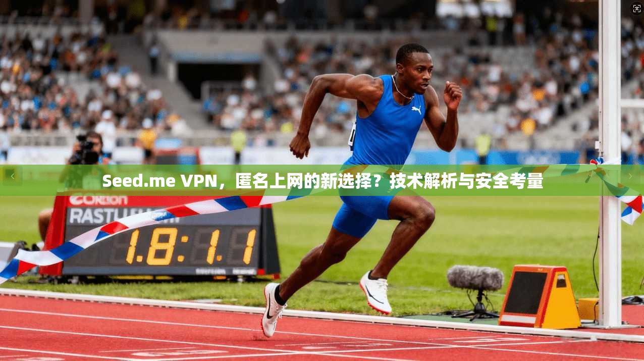 Seed.me VPN，匿名上网的新选择？技术解析与安全考量