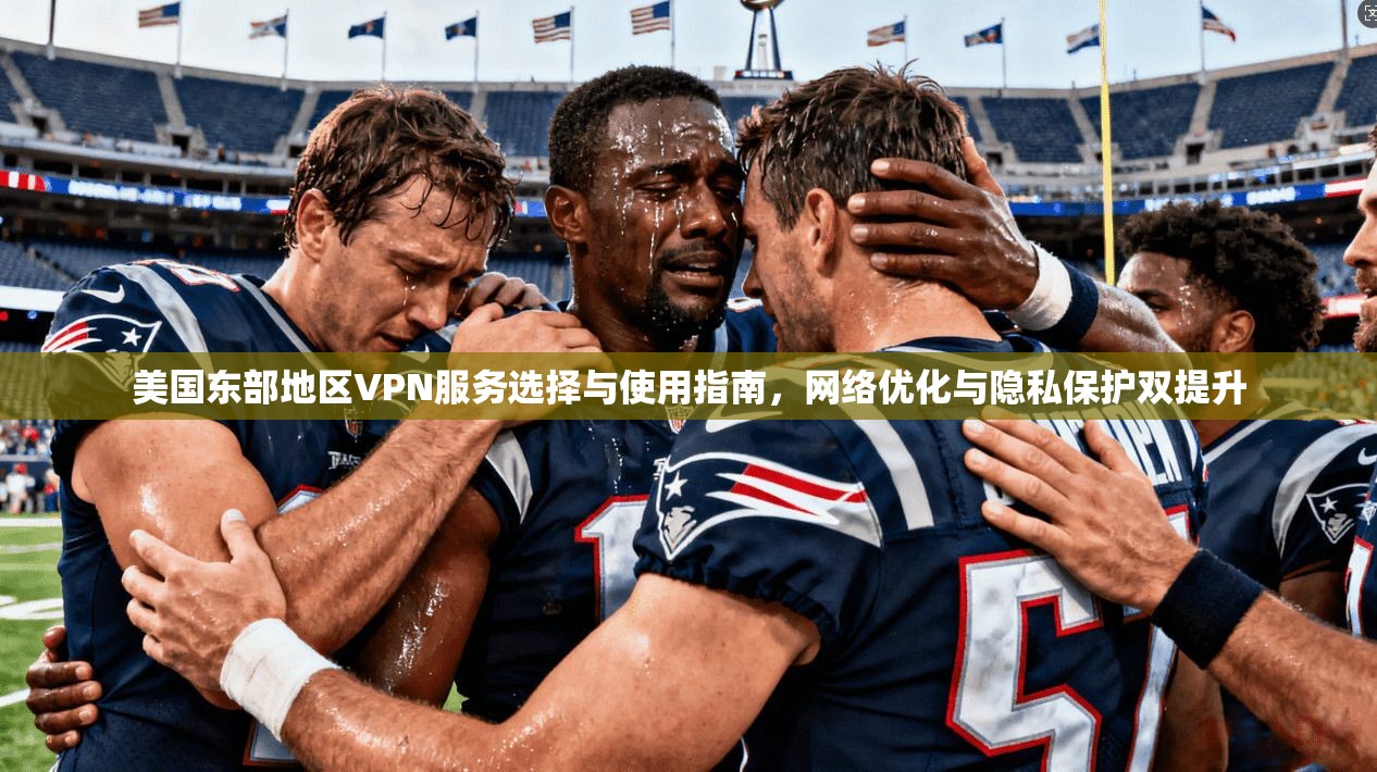 美国东部地区VPN服务选择与使用指南，网络优化与隐私保护双提升