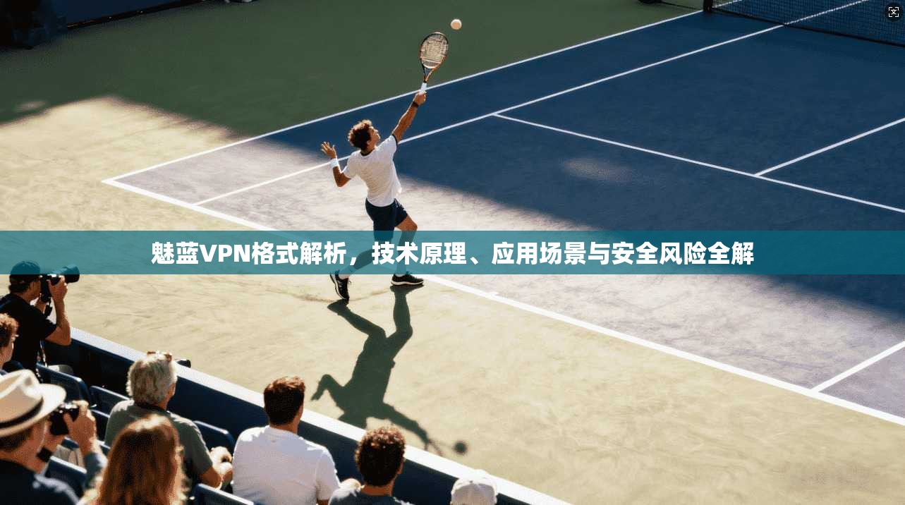 魅蓝VPN格式解析,技术原理、应用场景与安全风险全解 魅蓝VPN格式解析,技术原理、应用场景与安全风险全解