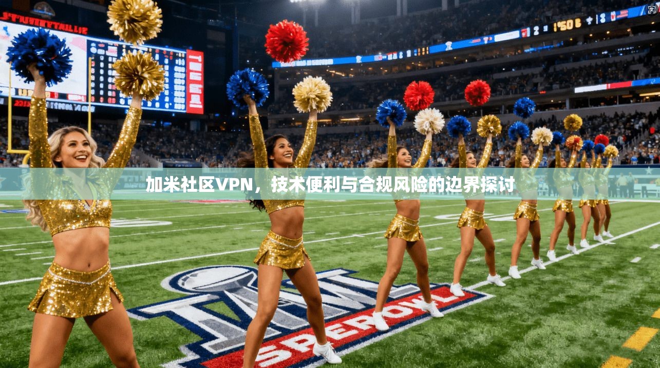 加米社区VPN,技术便利与合规风险的边界探讨 加米社区VPN,技术便利与合规风险的边界探讨