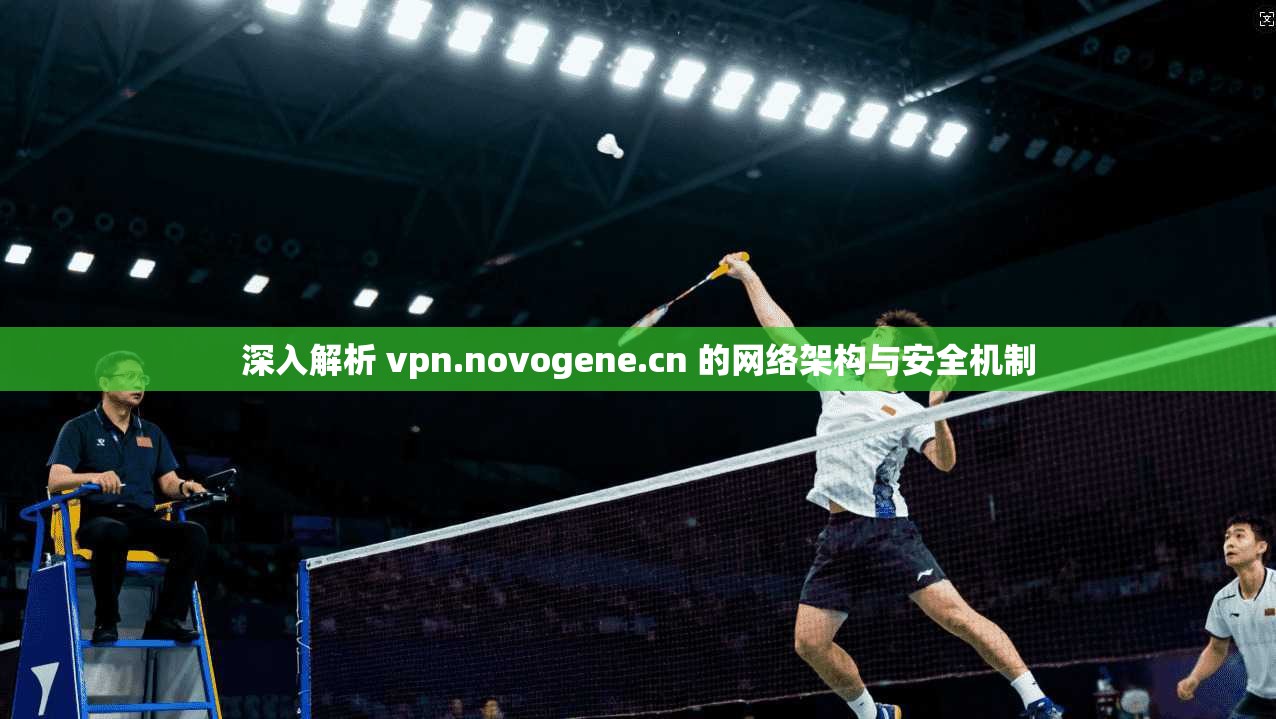 深入解析 vpn.novogene.cn 的网络架构与安全机制 深入解析 vpn.novogene.cn 的网络架构与安全机制