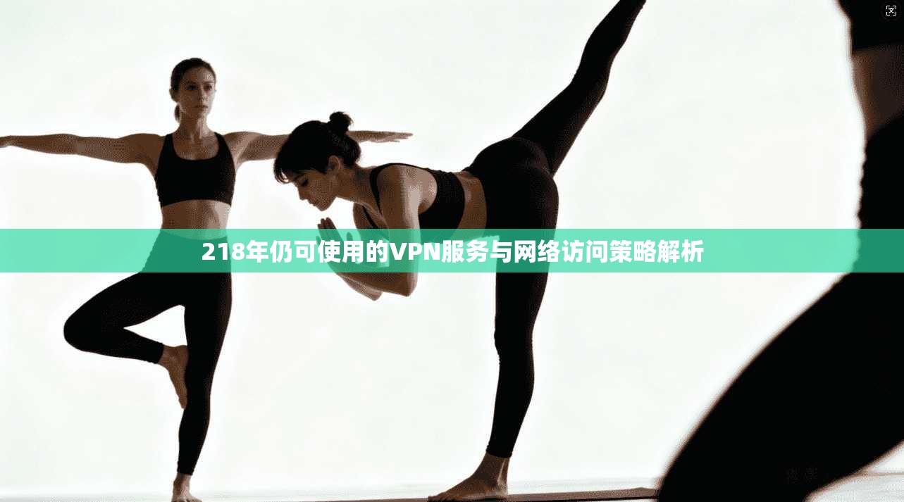 218年仍可使用的VPN服务与网络访问策略解析 218年仍可使用的VPN服务与网络访问策略解析