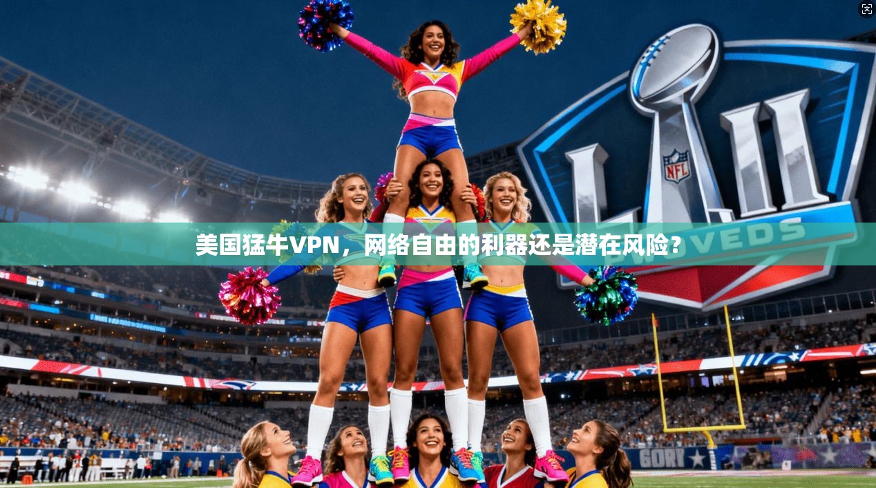 美国猛牛VPN,网络自由的利器还是潜在风险? 美国猛牛VPN,网络自由的利器还是潜在风险?
