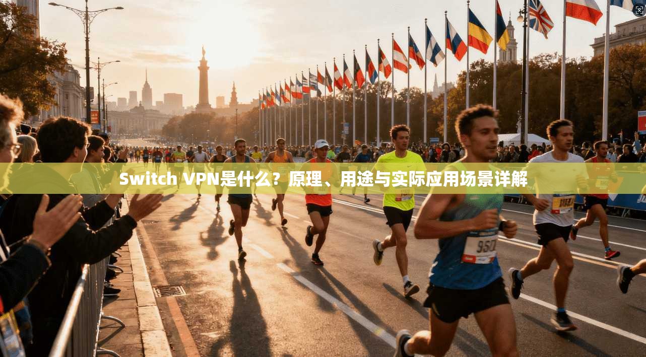 Switch VPN是什么?原理、用途与实际应用场景详解 Switch VPN是什么?原理、用途与实际应用场景详解