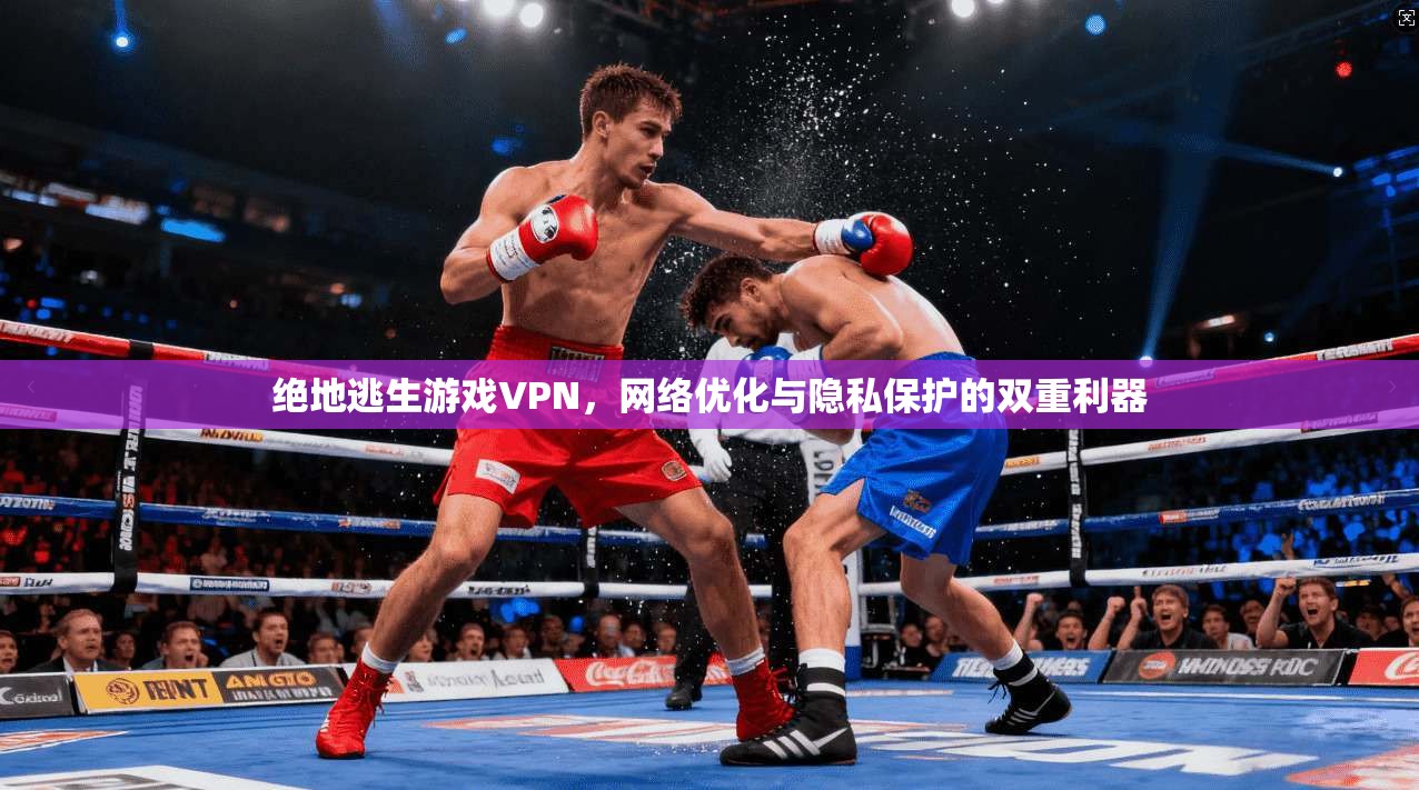 绝地逃生游戏VPN，网络优化与隐私保护的双重利器