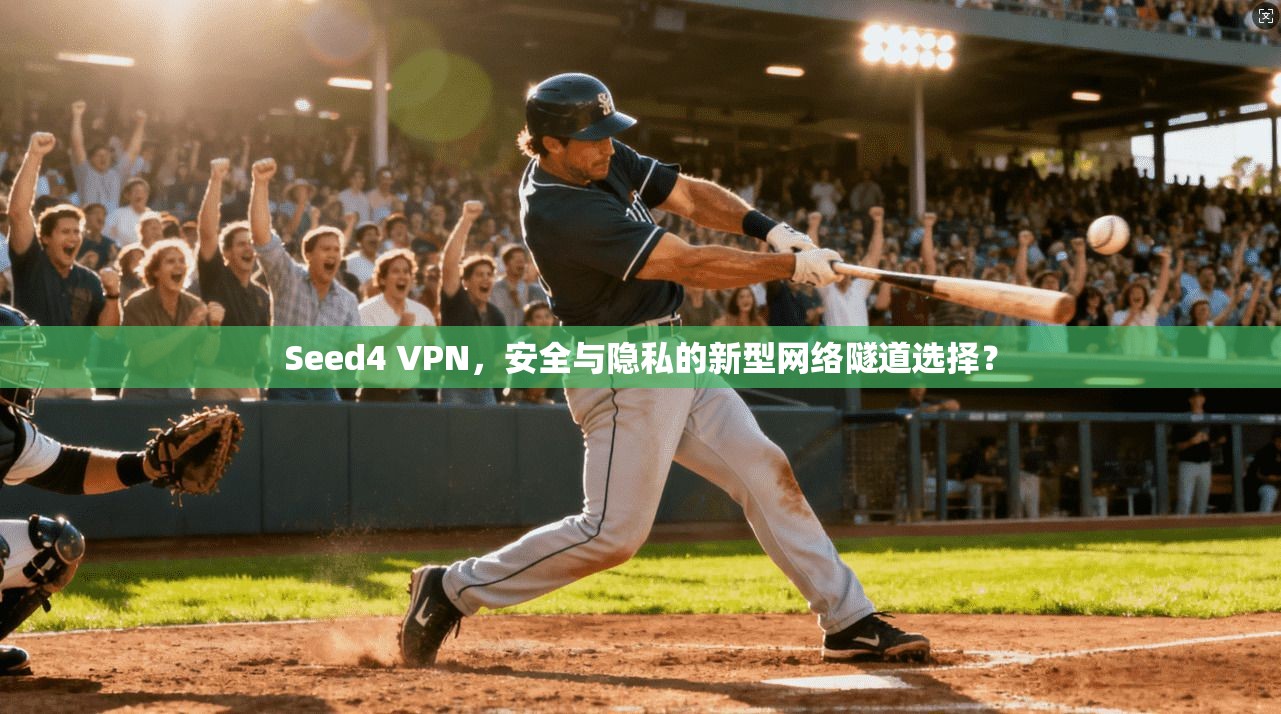 Seed4 VPN，安全与隐私的新型网络隧道选择？