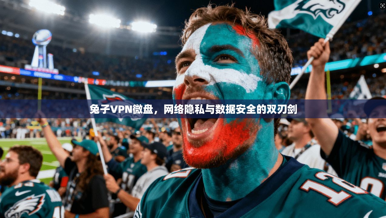 兔子VPN微盘，网络隐私与数据安全的双刃剑