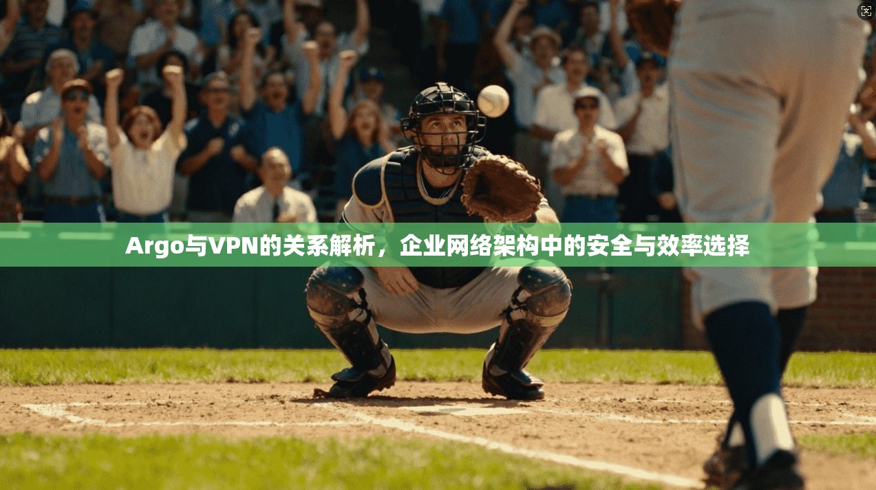 Argo与VPN的关系解析，企业网络架构中的安全与效率选择