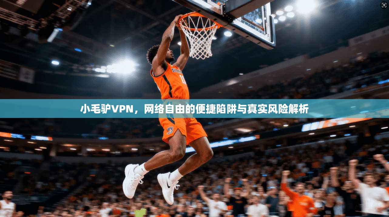 小毛驴VPN,网络自由的便捷陷阱与真实风险解析 小毛驴VPN,网络自由的便捷陷阱与真实风险解析