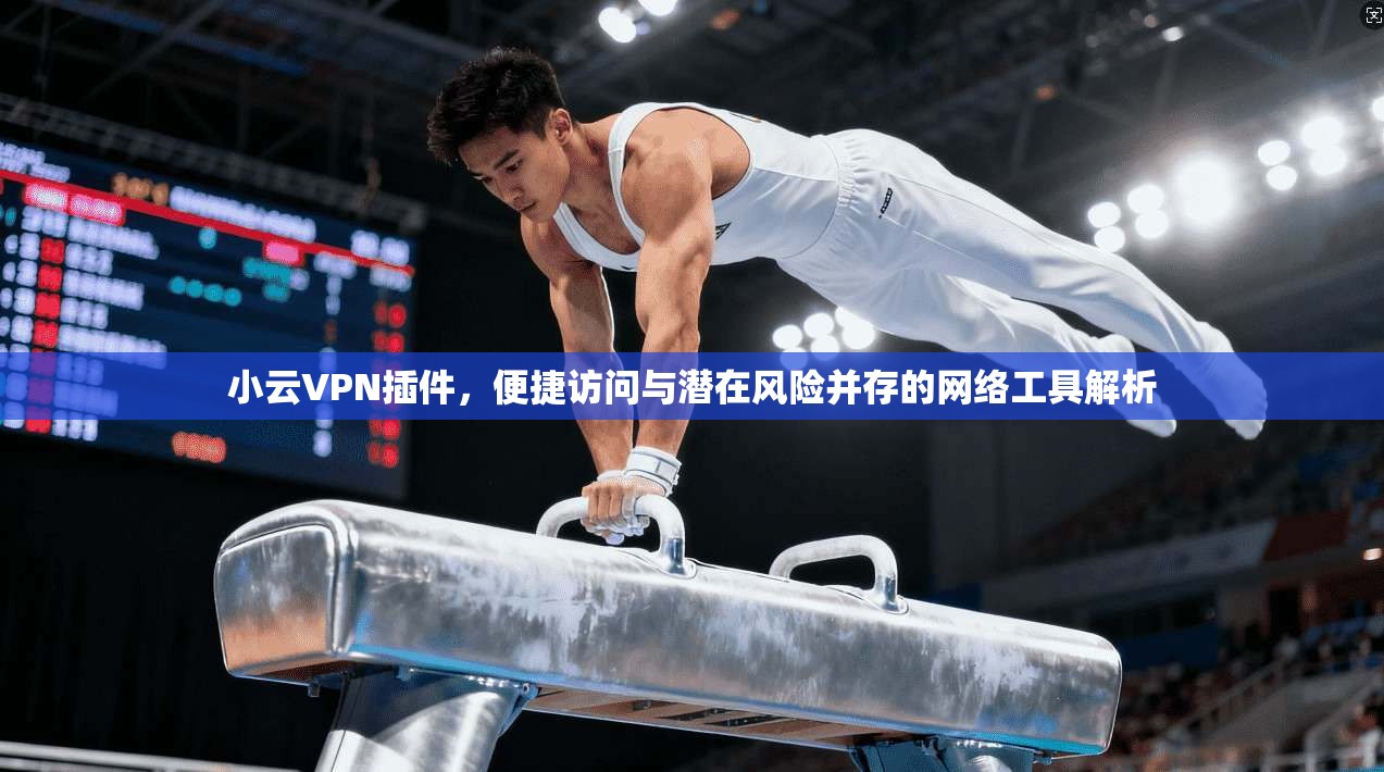 小云VPN插件,便捷访问与潜在风险并存的网络工具解析 小云VPN插件,便捷访问与潜在风险并存的网络工具解析