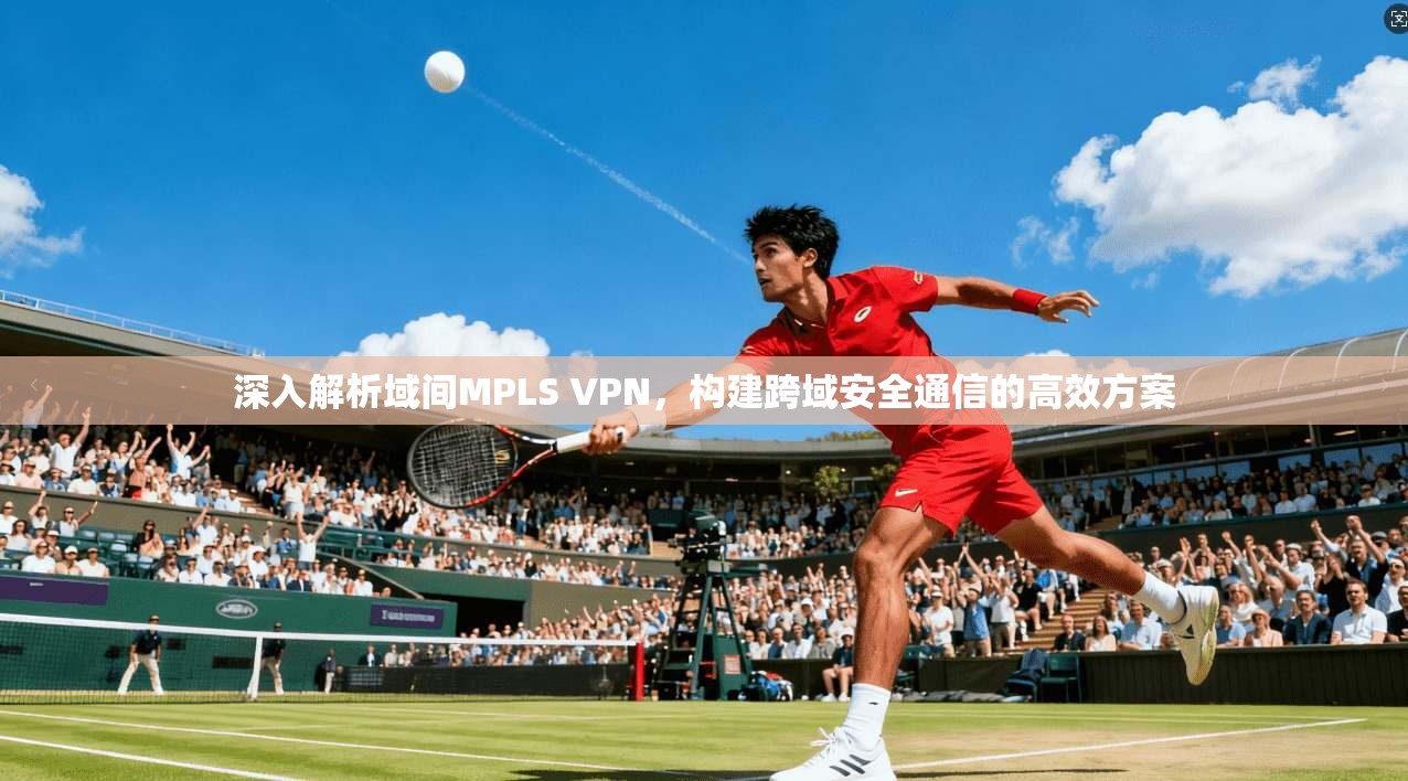 深入解析域间MPLS VPN，构建跨域安全通信的高效方案