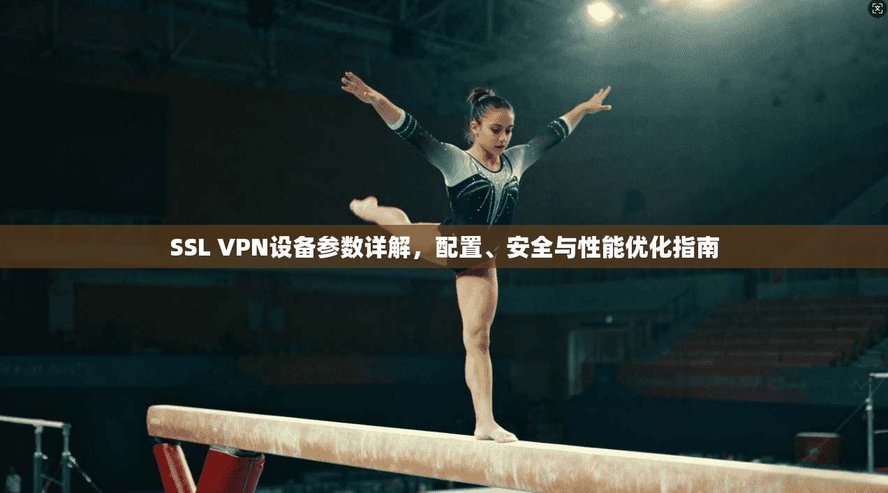 SSL VPN设备参数详解，配置、安全与性能优化指南