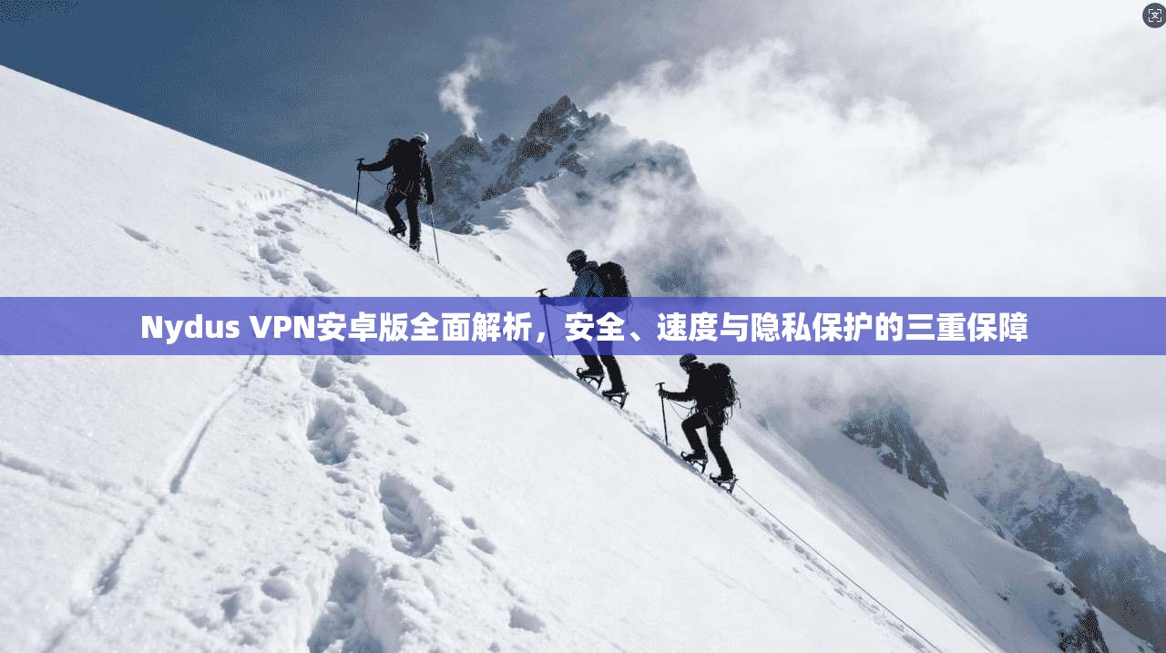 Nydus VPN安卓版全面解析,安全、速度与隐私保护的三重保障 Nydus VPN安卓版全面解析,安全、速度与隐私保护的三重保障