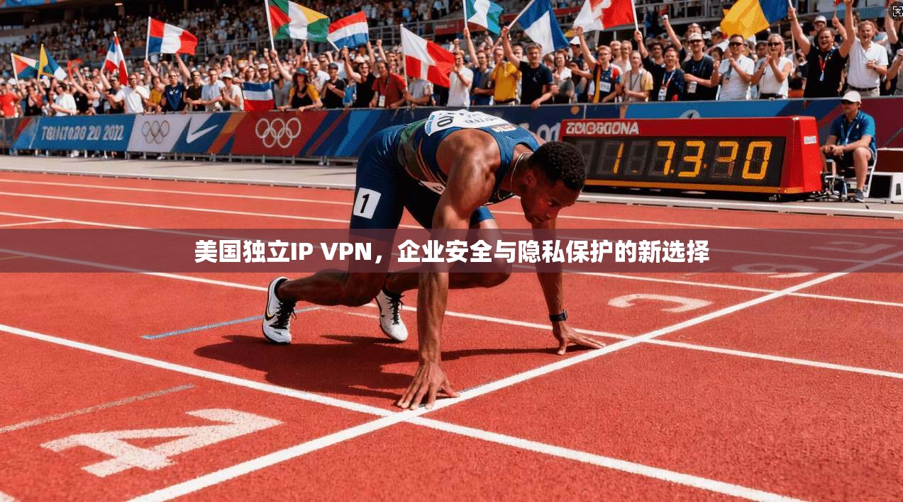 美国独立IP VPN，企业安全与隐私保护的新选择