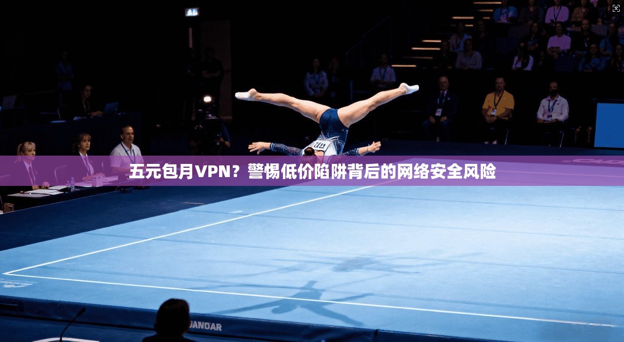 五元包月VPN？警惕低价陷阱背后的网络安全风险