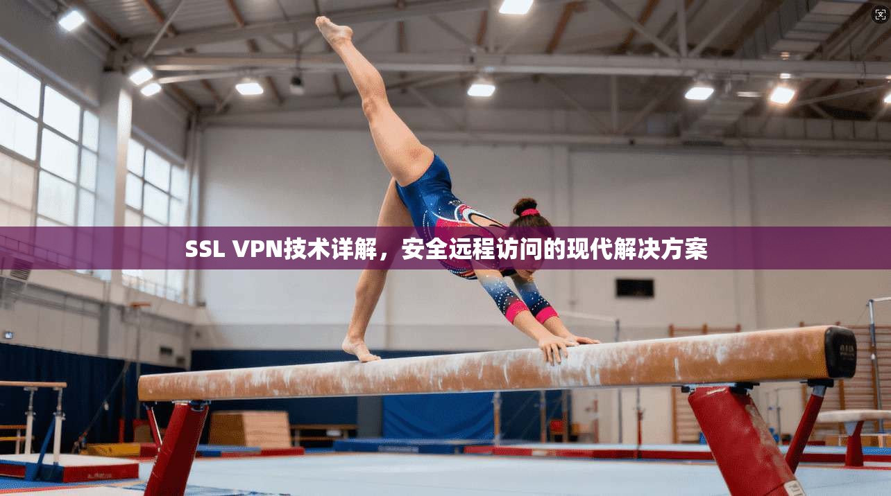 SSL VPN技术详解,安全远程访问的现代解决方案 SSL VPN技术详解,安全远程访问的现代解决方案