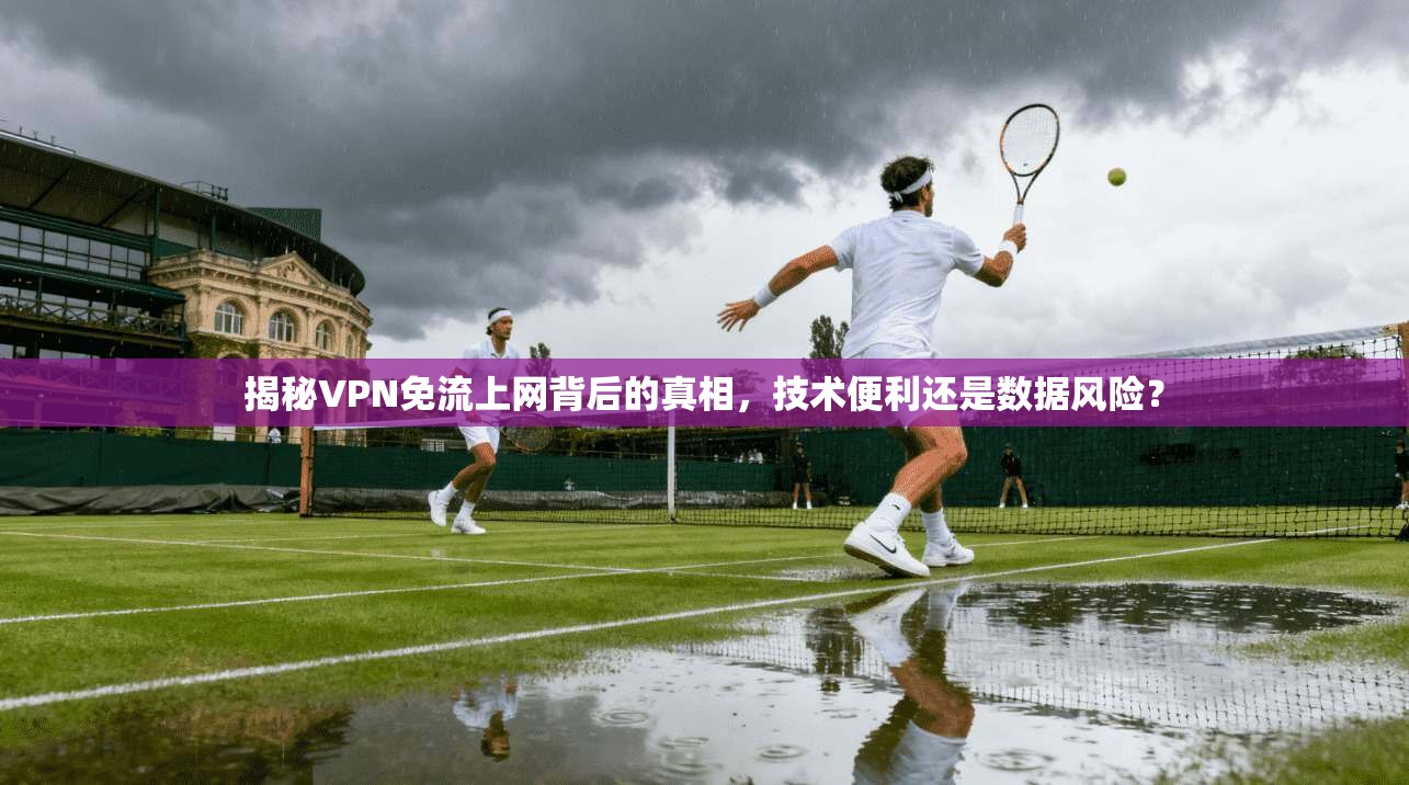 揭秘VPN免流上网背后的真相，技术便利还是数据风险？