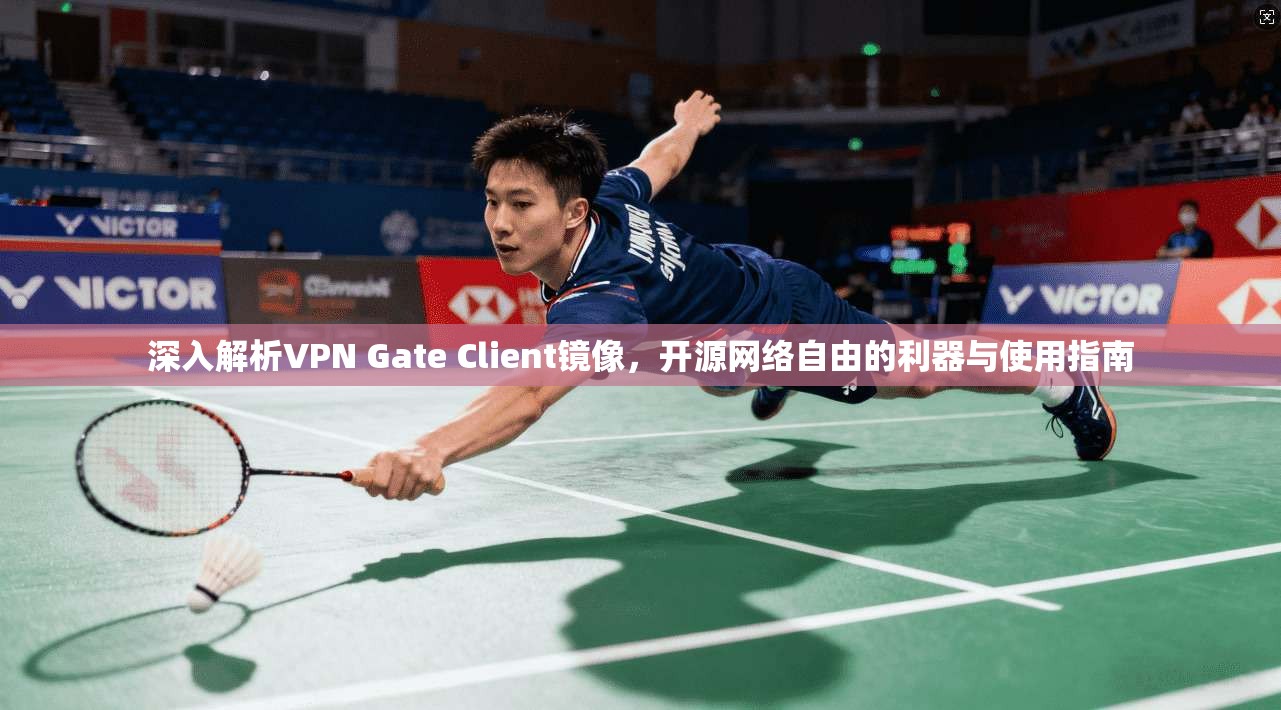 深入解析VPN Gate Client镜像，开源网络自由的利器与使用指南