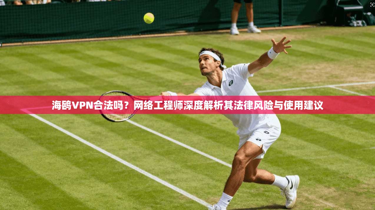 海鸥VPN合法吗？网络工程师深度解析其法律风险与使用建议
