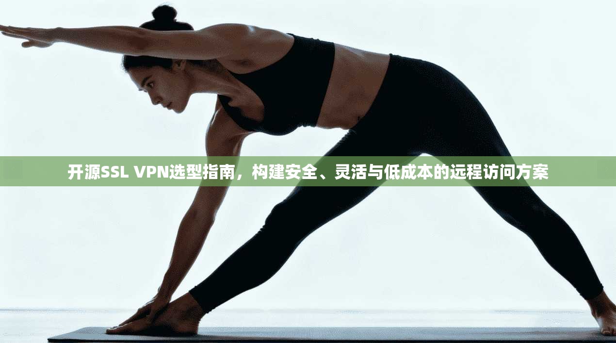 开源SSL VPN选型指南，构建安全、灵活与低成本的远程访问方案