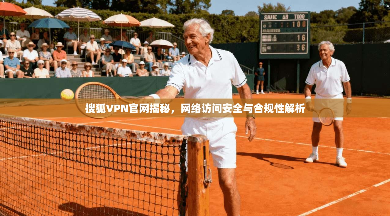 搜狐VPN官网揭秘，网络访问安全与合规性解析