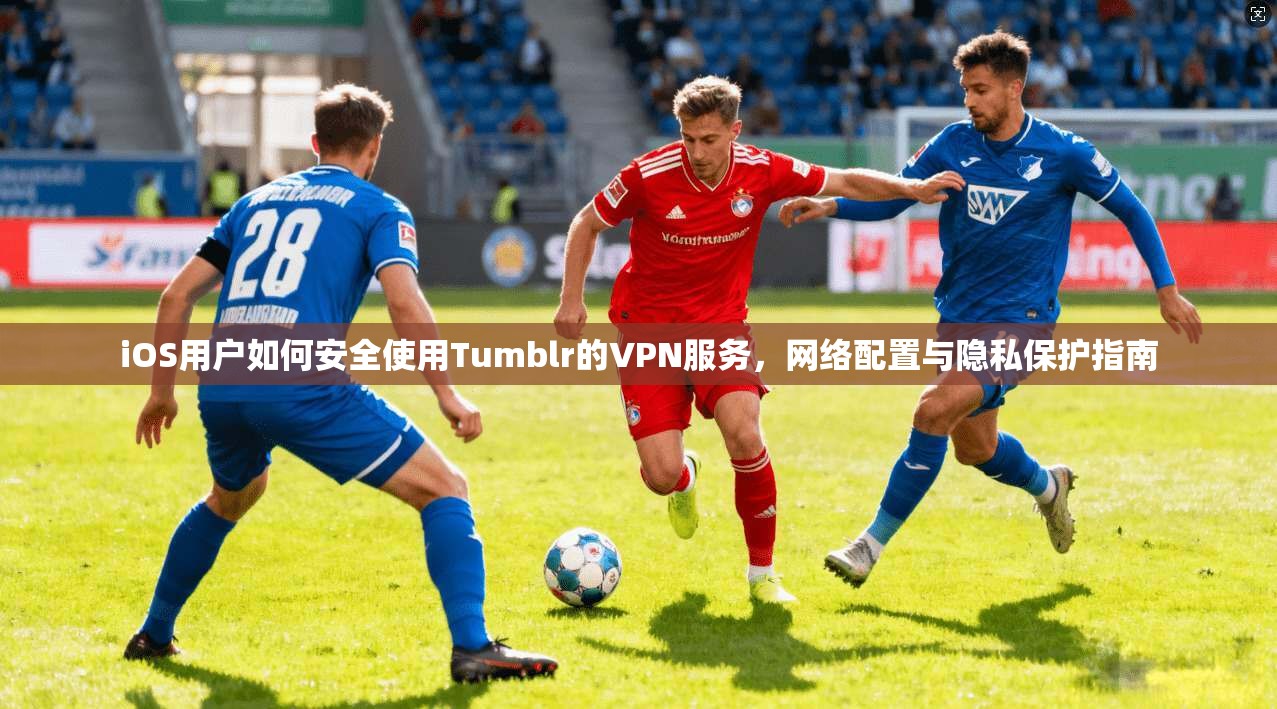 iOS用户如何安全使用Tumblr的VPN服务，网络配置与隐私保护指南