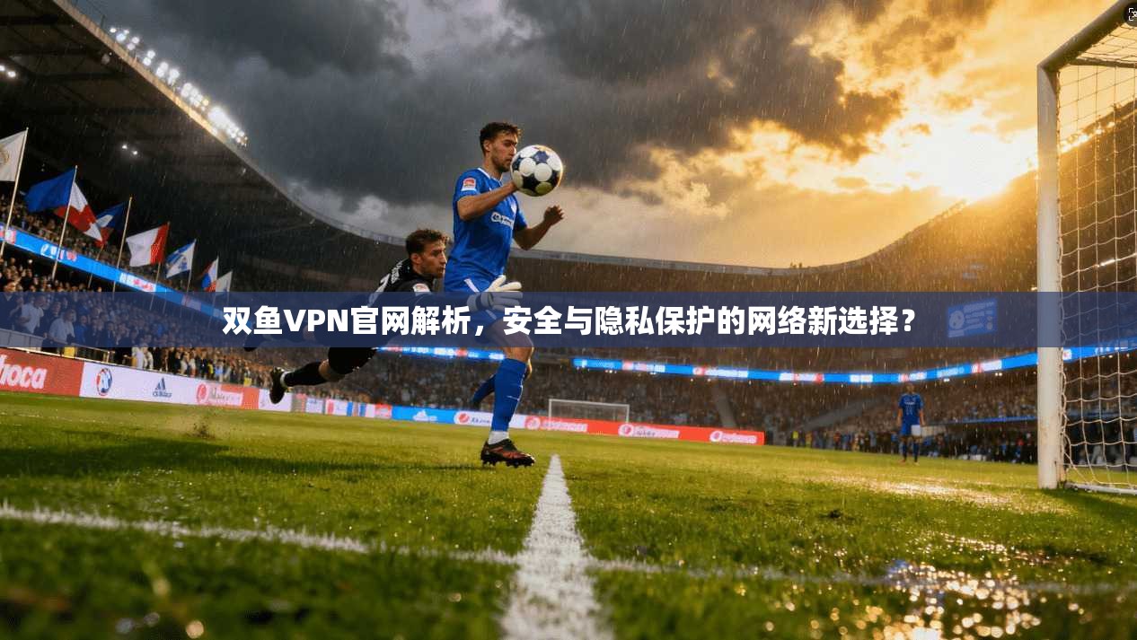 双鱼VPN官网解析,安全与隐私保护的网络新选择? 双鱼VPN官网解析,安全与隐私保护的网络新选择?