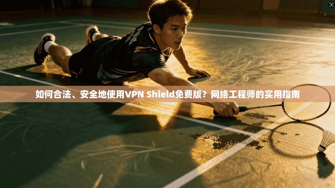 如何合法、安全地使用VPN Shield免费版？网络工程师的实用指南